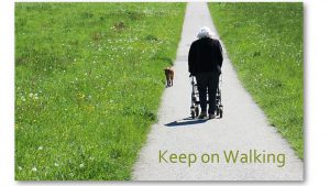 Medicare Covered Walkers and Rollators