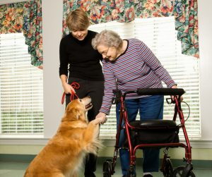 How to Choose a Rollator Walker